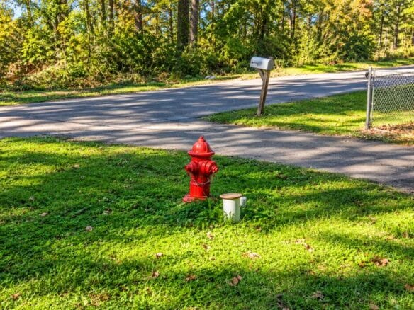 0.25-Acre Wooded Lot for Sale in Rankin County, MS!