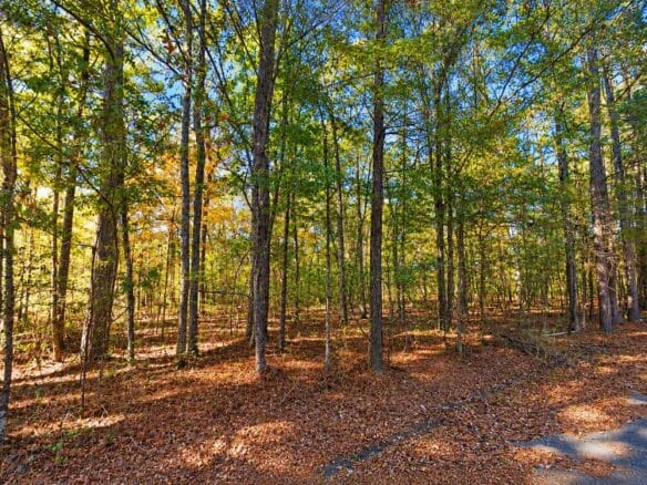 0.25-Acre Wooded Lot for Sale in Rankin County, MS!