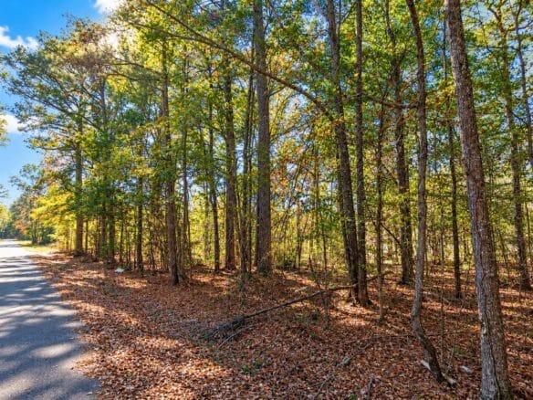 0.25-Acre Wooded Lot for Sale in Rankin County, MS!