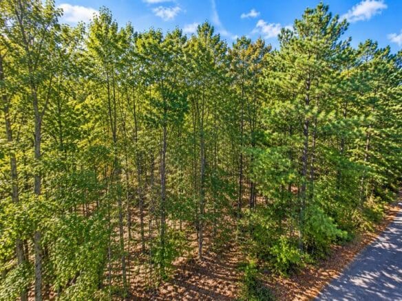 0.25-Acre Wooded Lot for Sale in Rankin County, MS!