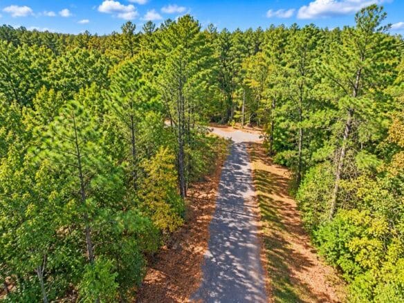 0.25-Acre Wooded Lot for Sale in Rankin County, MS!