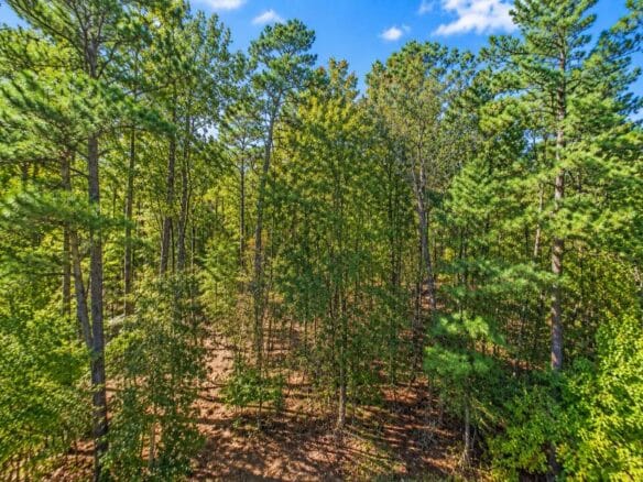 0.25-Acre Wooded Lot for Sale in Rankin County, MS!