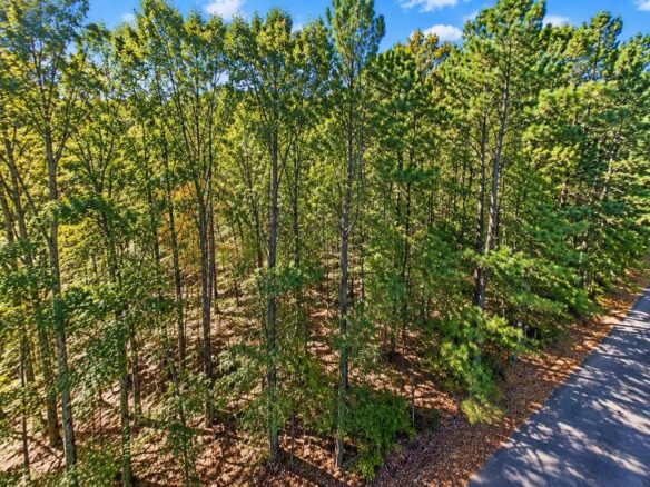 0.25-Acre Wooded Lot for Sale in Rankin County, MS!