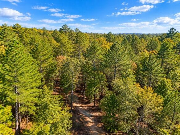 Peaceful Wooded 0.33-Acre Lot Near the Lake in Brandon, MS