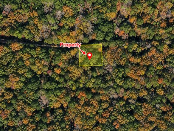 Peaceful Wooded 0.33-Acre Lot Near the Lake in Brandon, MS