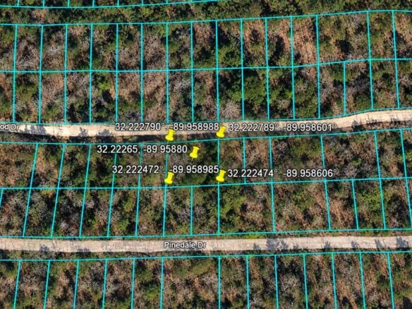 Peaceful Wooded 0.33-Acre Lot Near the Lake in Brandon, MS