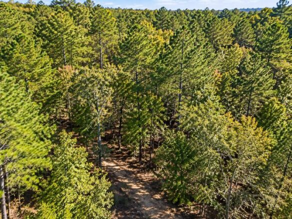 Peaceful Wooded 0.33-Acre Lot Near the Lake in Brandon, MS