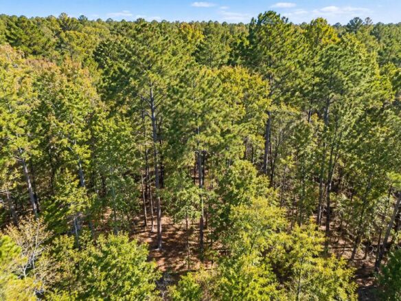Peaceful Wooded 0.33-Acre Lot Near the Lake in Brandon, MS