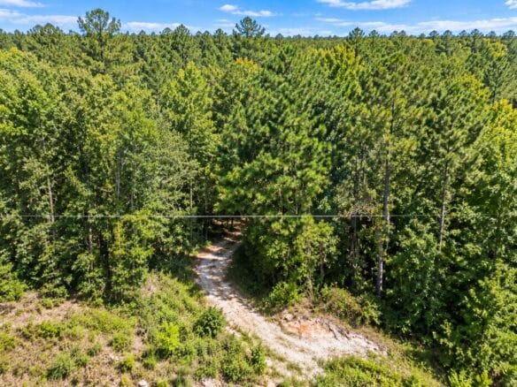 Peaceful Wooded 0.33-Acre Lot Near the Lake in Brandon, MS
