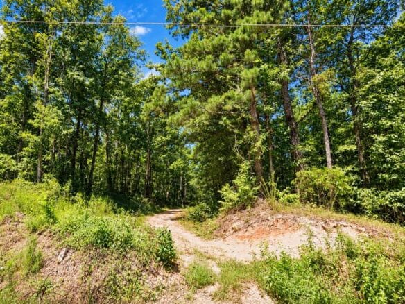 Peaceful Wooded 0.33-Acre Lot Near the Lake in Brandon, MS