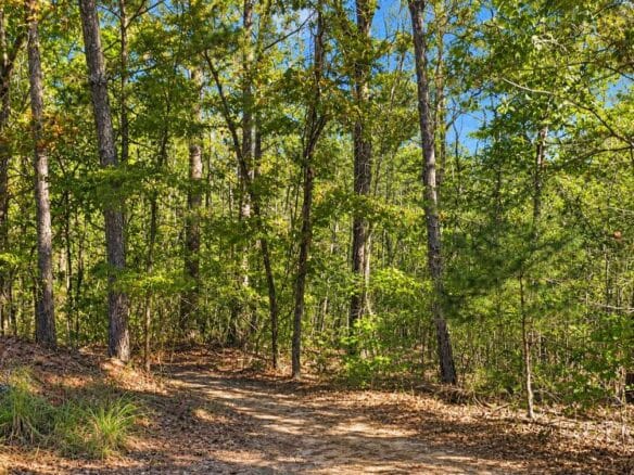 Peaceful Wooded 0.33-Acre Lot Near the Lake in Brandon, MS