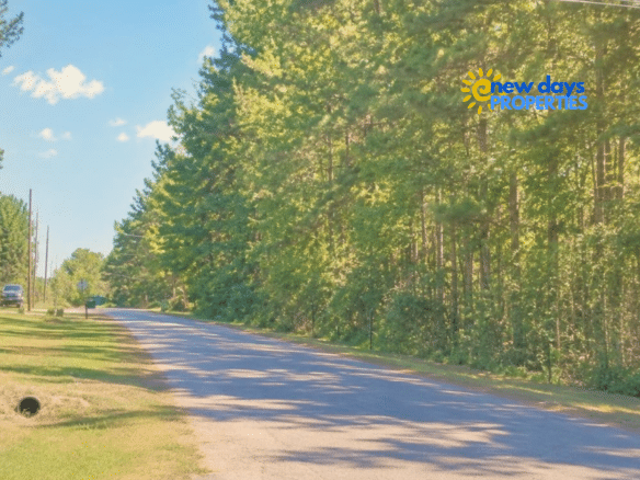 Mississippi Land for Sale Near Enid Lake – 0.20 Acres!